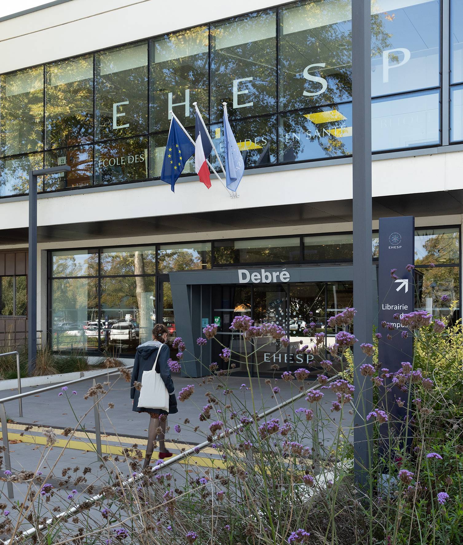 office feature image 2